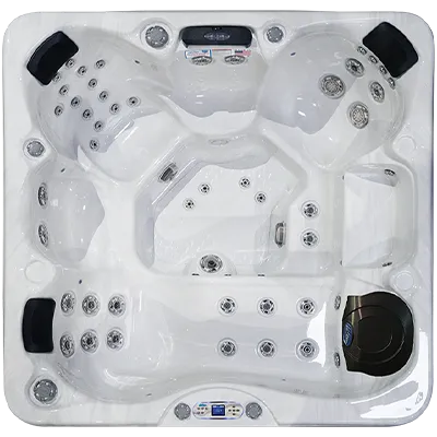 Avalon EC-849L hot tubs for sale in Nampa