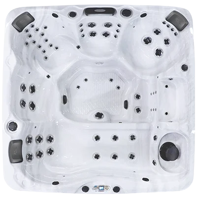 Avalon EC-867L hot tubs for sale in Nampa