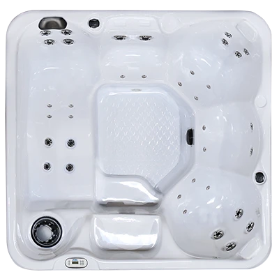Hawaiian PZ-636L hot tubs for sale in Nampa